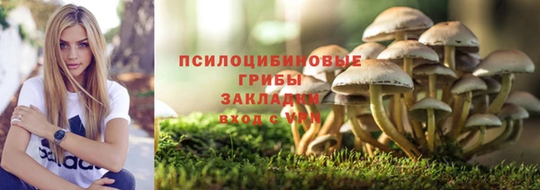 гашик Абинск