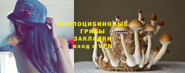 гашик Абинск