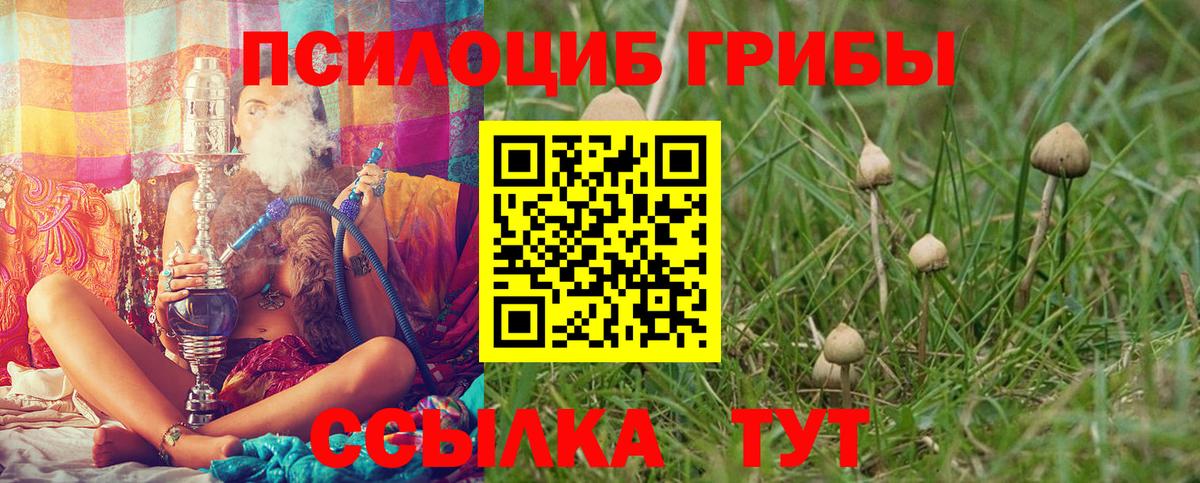 Альфа ПВП Шали