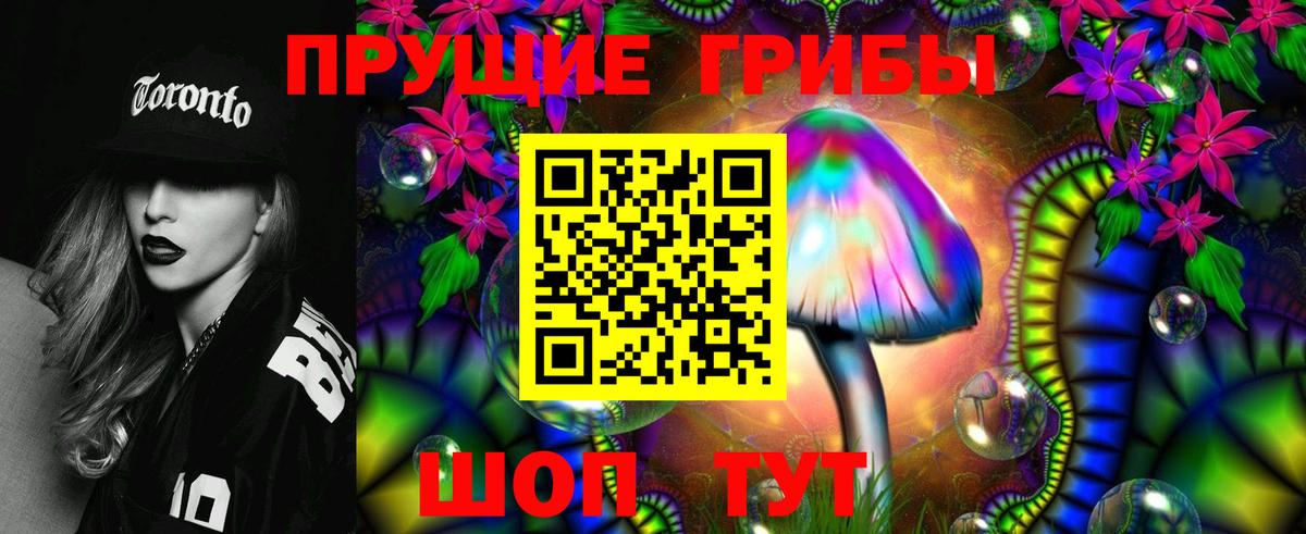 Галлюциногенные грибы Psilocybine cubensis  Вход с VPN  Шали  Галлюциногенные грибы Magic Shrooms 